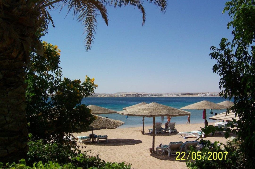 Golden sandy beach Fort Arabesque Resort, Spa & Villas