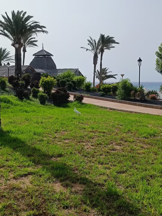 Außenansicht SBH Costa Calma Beach Resort