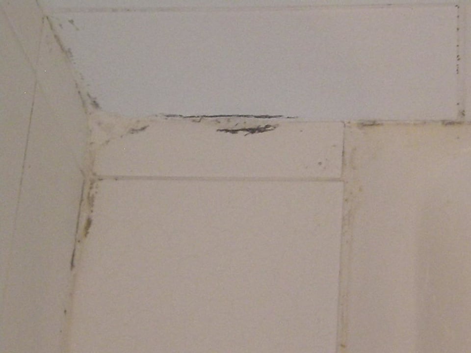 Bad allsun Hotel Carolina Mare