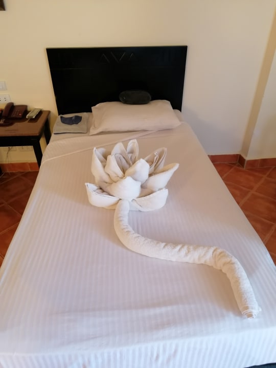 Zimmer Three Corners Sea Beach Resort