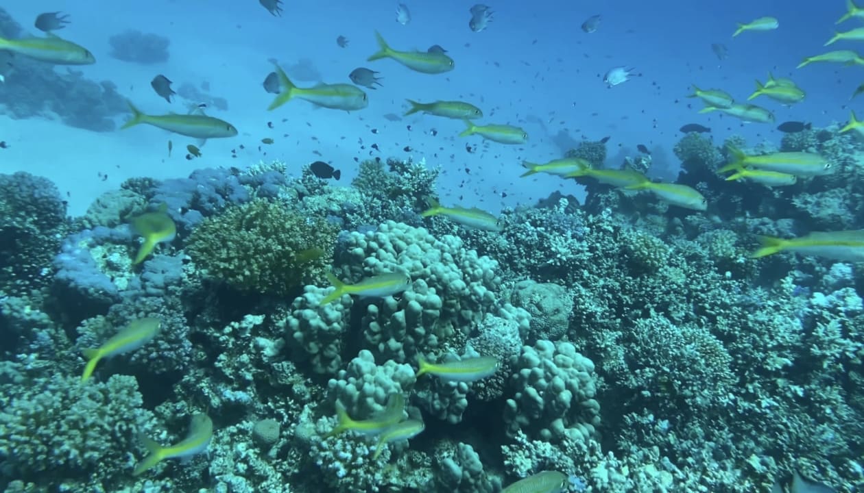 Sport & Freizeit Grand Makadi