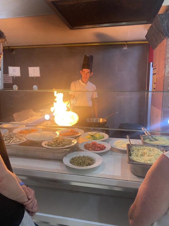 Gastro Asteria Collection Side