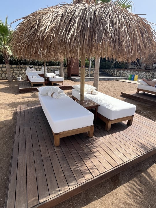 Strand Rubi Platinum Sign