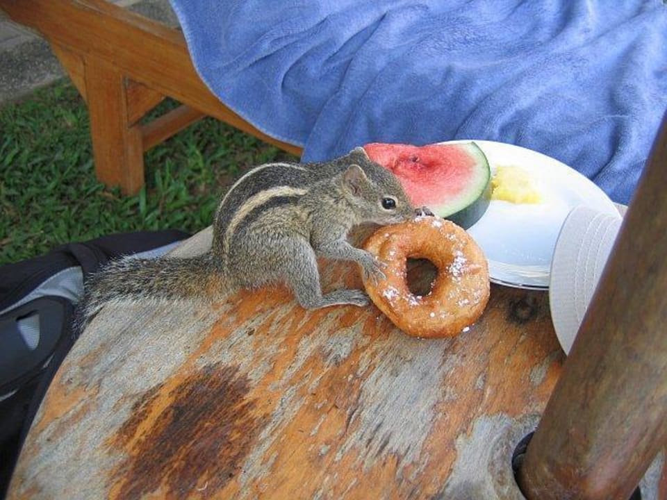 Hotelowe łakomczuchy Mermaid Hotel & Club