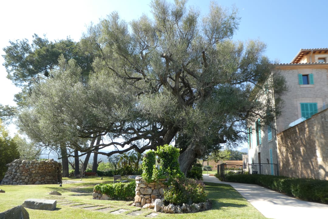 Gartenanlage Sa Cabana Hotel Rural & Spa - Adults only
