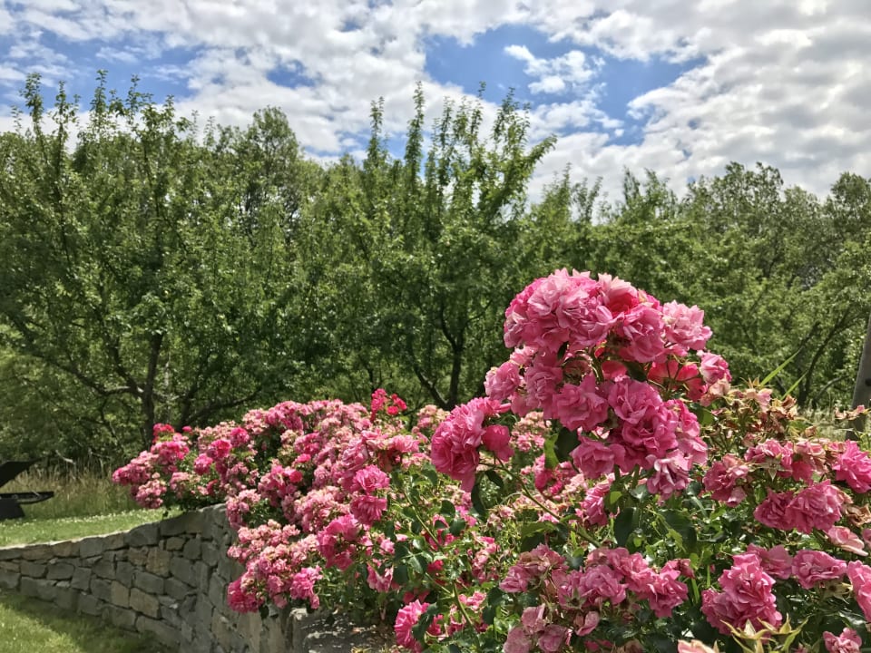 Gartenanlage RETTER Bio-Natur-Resort