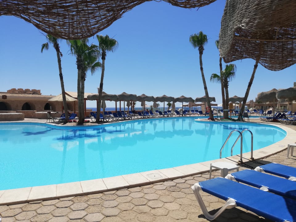 Pool Pickalbatros Citadel Resort