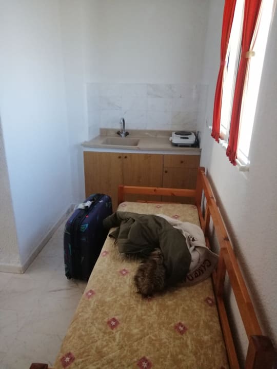 Zimmer Hotel Martha's Haus