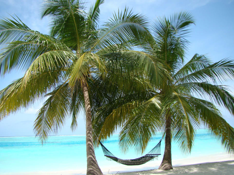 Mein Lieblingsplatz Meeru Maldives Resort Island