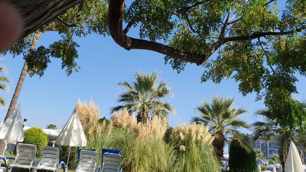 Gartenanlage Sunis Elita Beach Resort & Spa