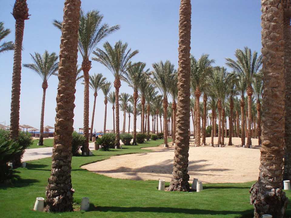 Traumhaft Makadi Palace