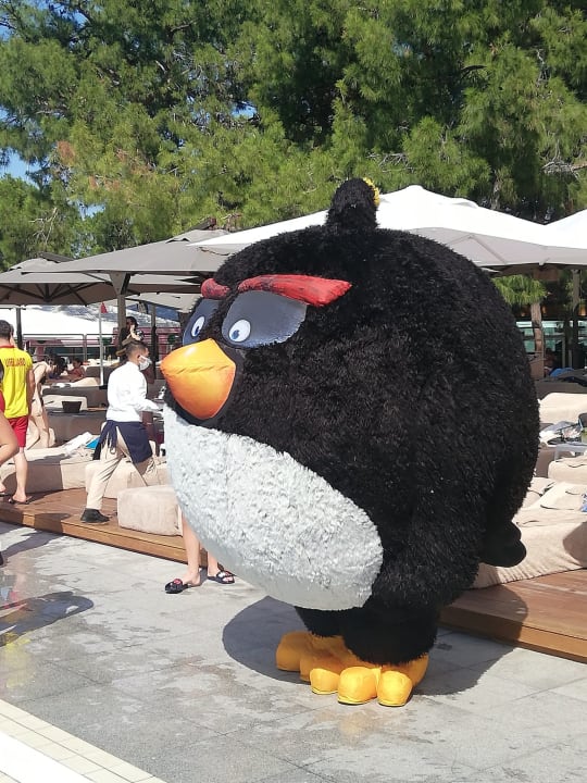 Sport & Freizeit Rixos Sungate