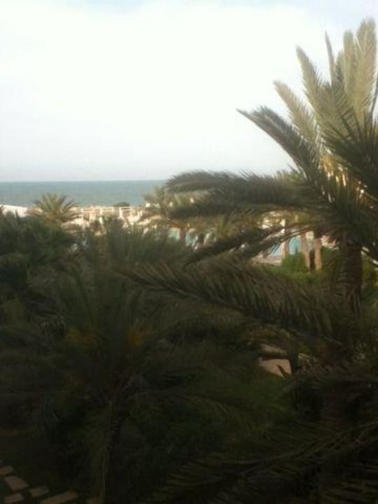 Hotel Radisson Blu Resort & Thalasso Radisson Blu Palace Resort & Thalasso Djerba