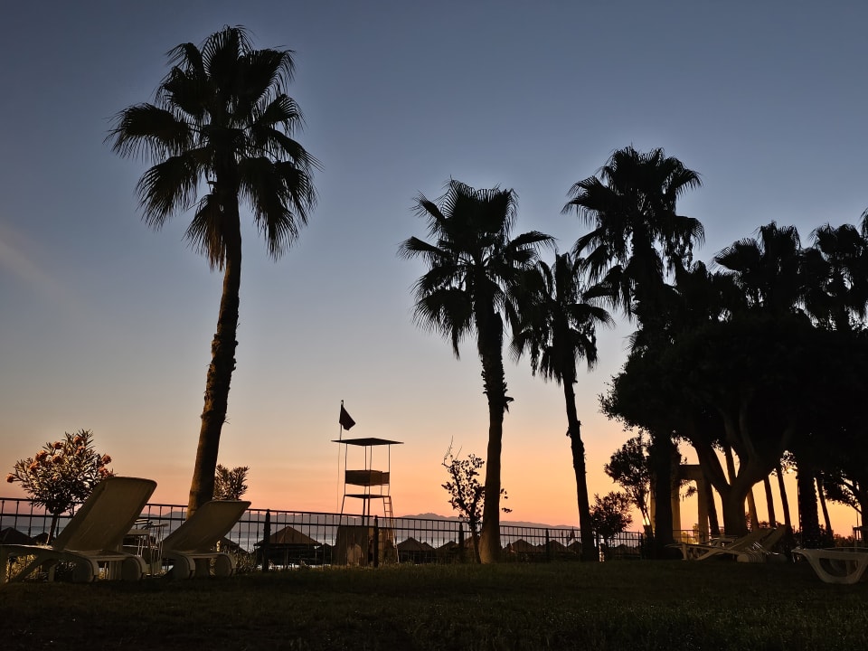Gartenanlage Hotel Defne Star