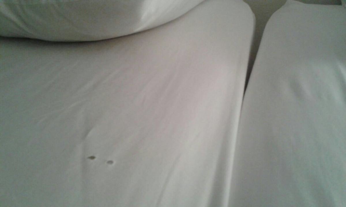 Zimmer Santa Maria Beach House