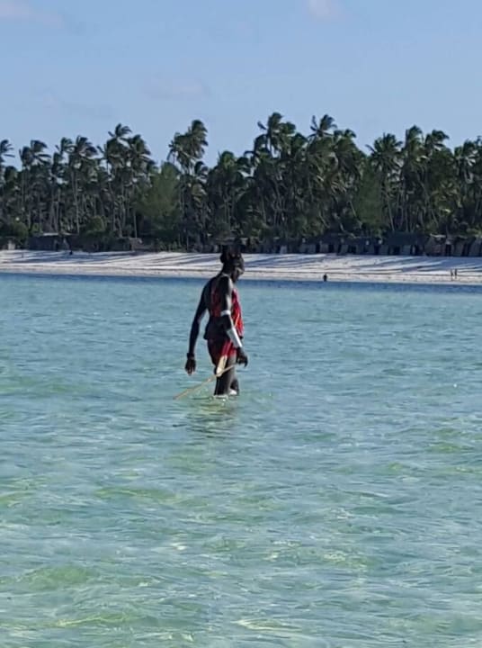 Strand Boy Neptune Pwani Beach Resort & Spa