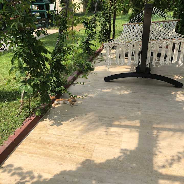 Gartenanlage Saphir Resort & Spa