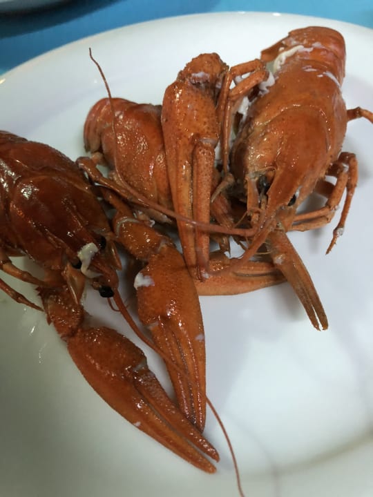 Gastro Saphir Resort & Spa