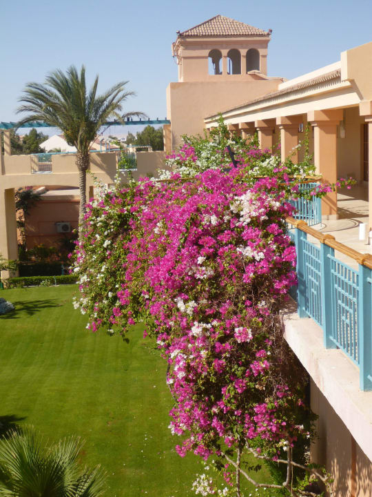 Blumen Mövenpick Resort & Spa El Gouna