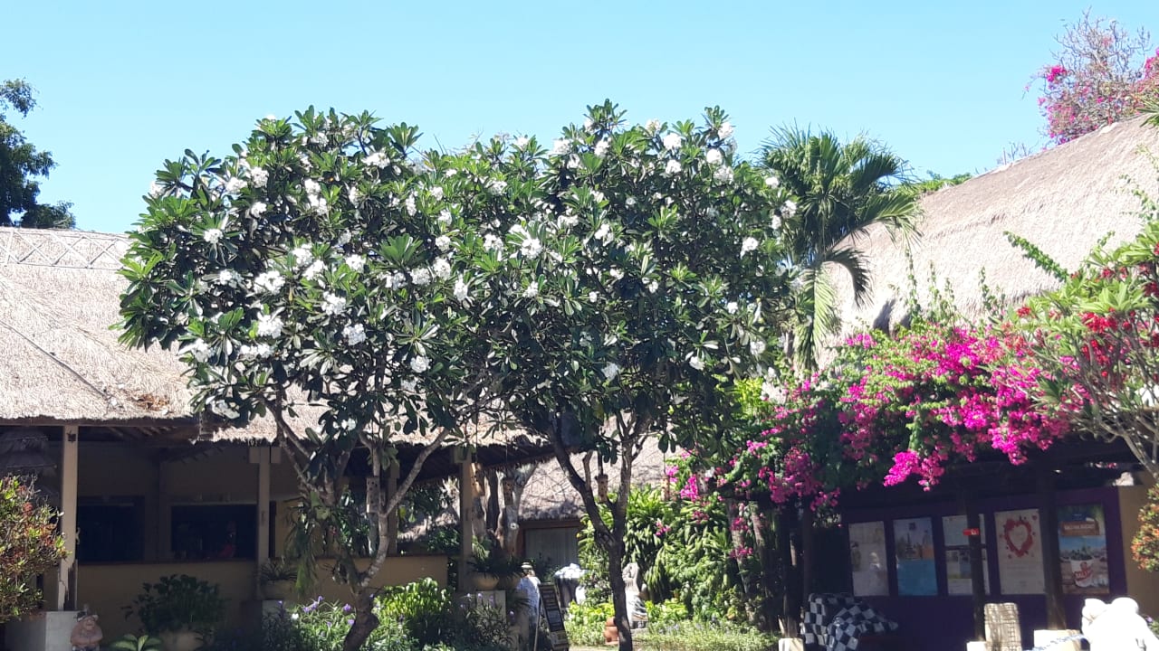 Gartenanlage Mercure Resort Sanur
