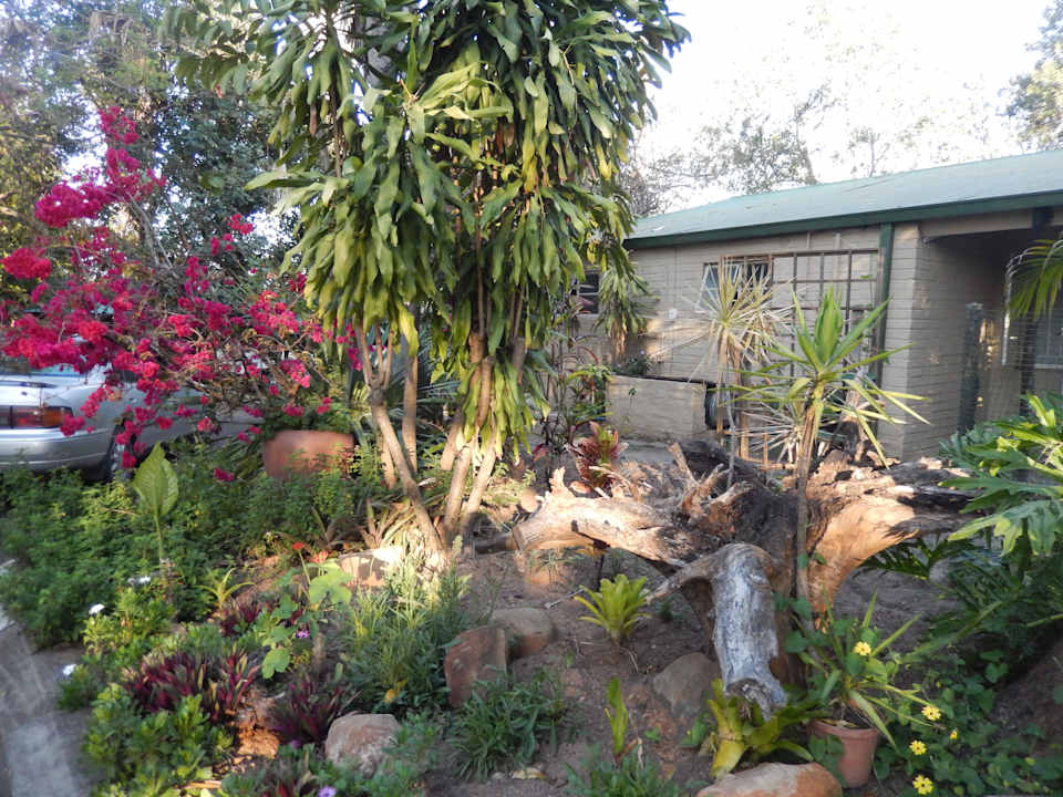 Gartenanlage Hotel Numbi The Main House