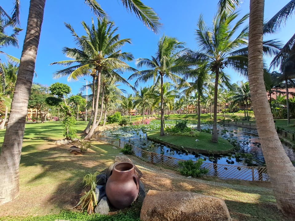 Gartenanlage Pandanus Resort