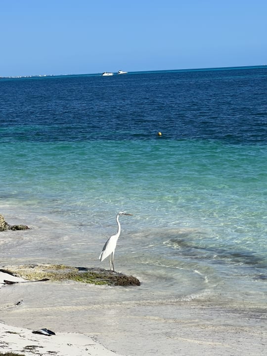 Strand Hotel Riu Palace Peninsula