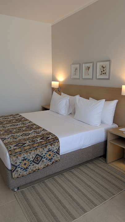 Zimmer JAZ Elite Asteria