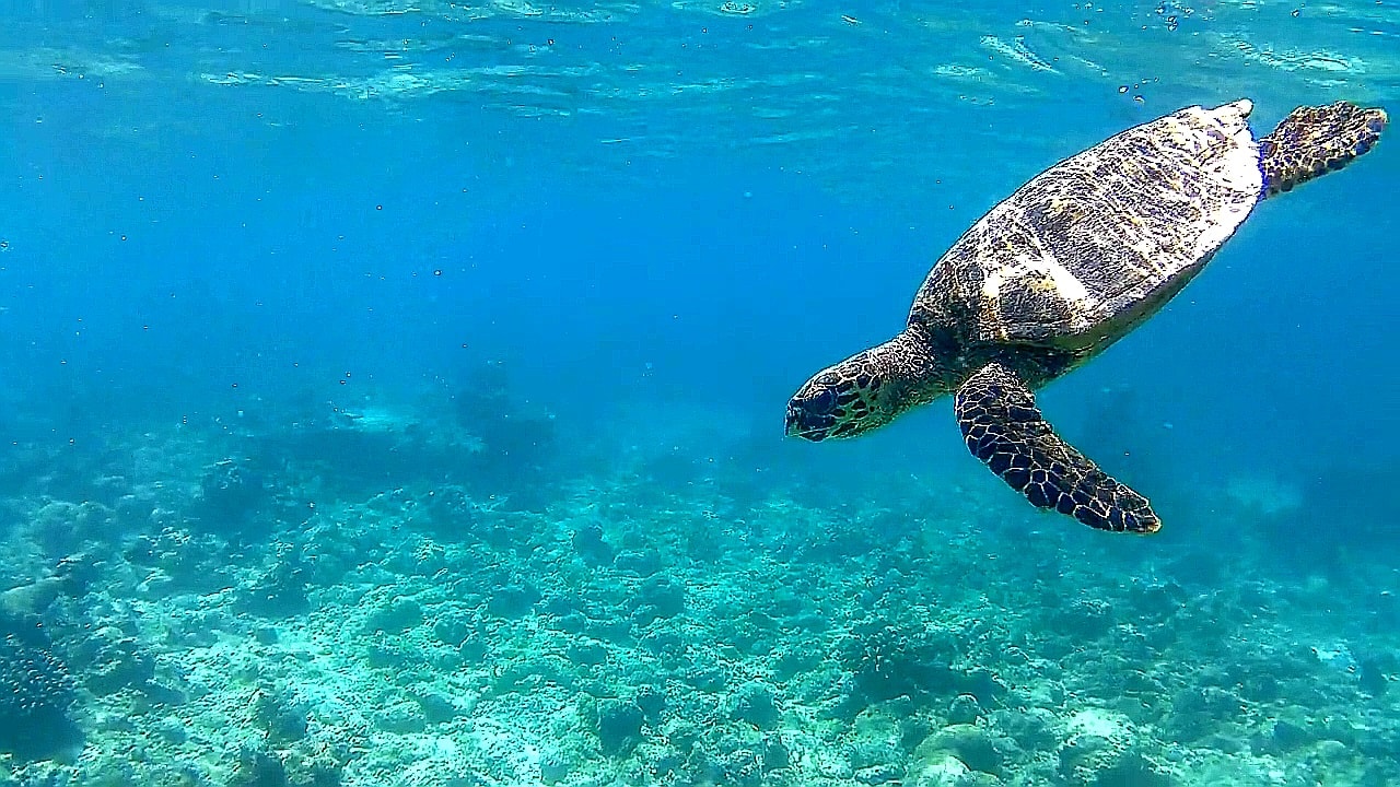 Sport & Freizeit Adaaran Select Hudhuran Fushi - Premium All Inclusive