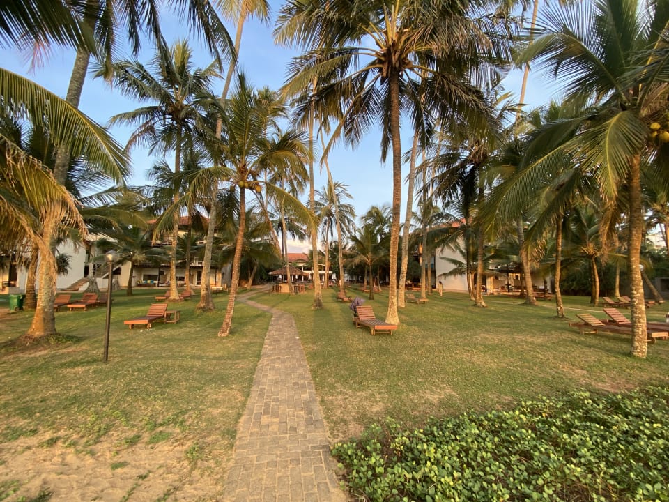 Gartenanlage Mermaid Hotel & Club