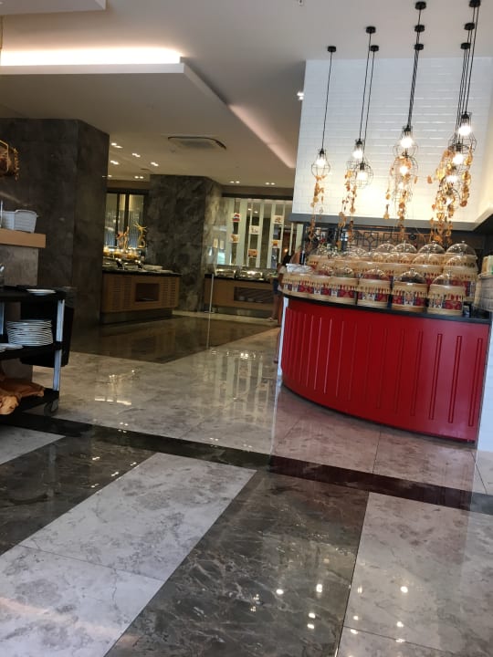 Gastro Seashell Vega