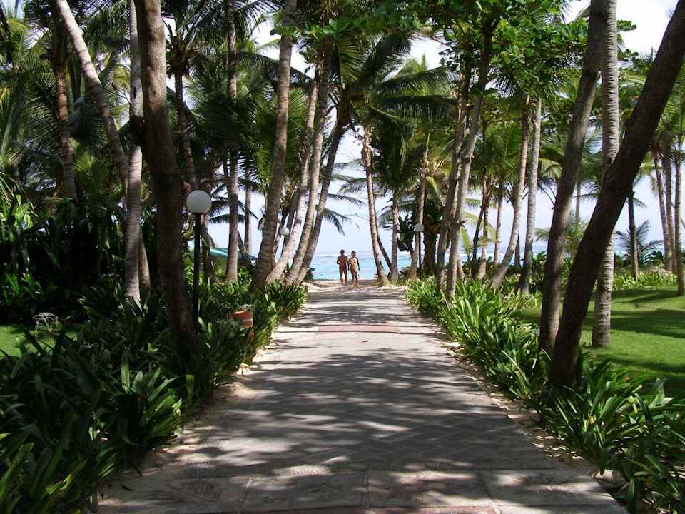 Hotel RIU Taino Hotel Riu Palace Bavaro