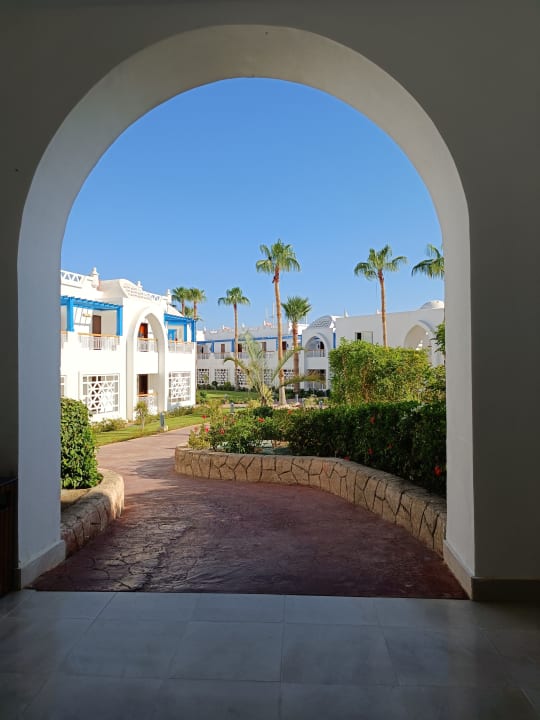 Gartenanlage Pickalbatros Palace Resort