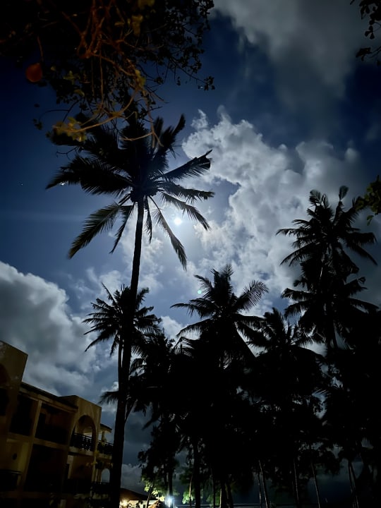 Außenansicht Diani Sea Resort