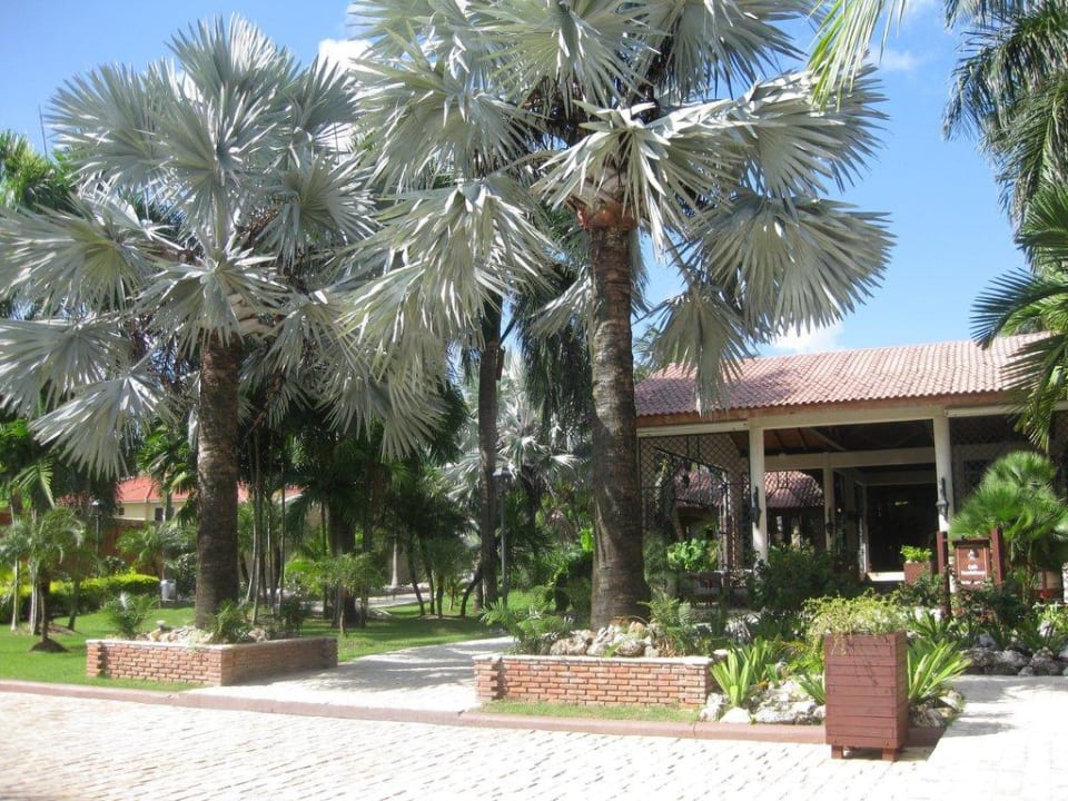 Eingang zur Bar Villas Bavaro Resort & Spa