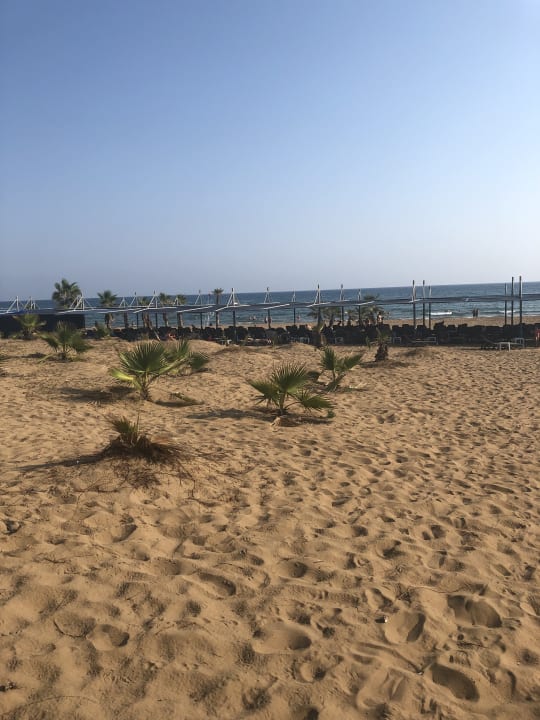 Strand Club Grand Aqua