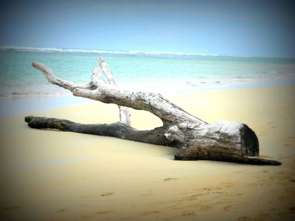 Alleinlage des Hotels Excellence Punta Cana - Adults only