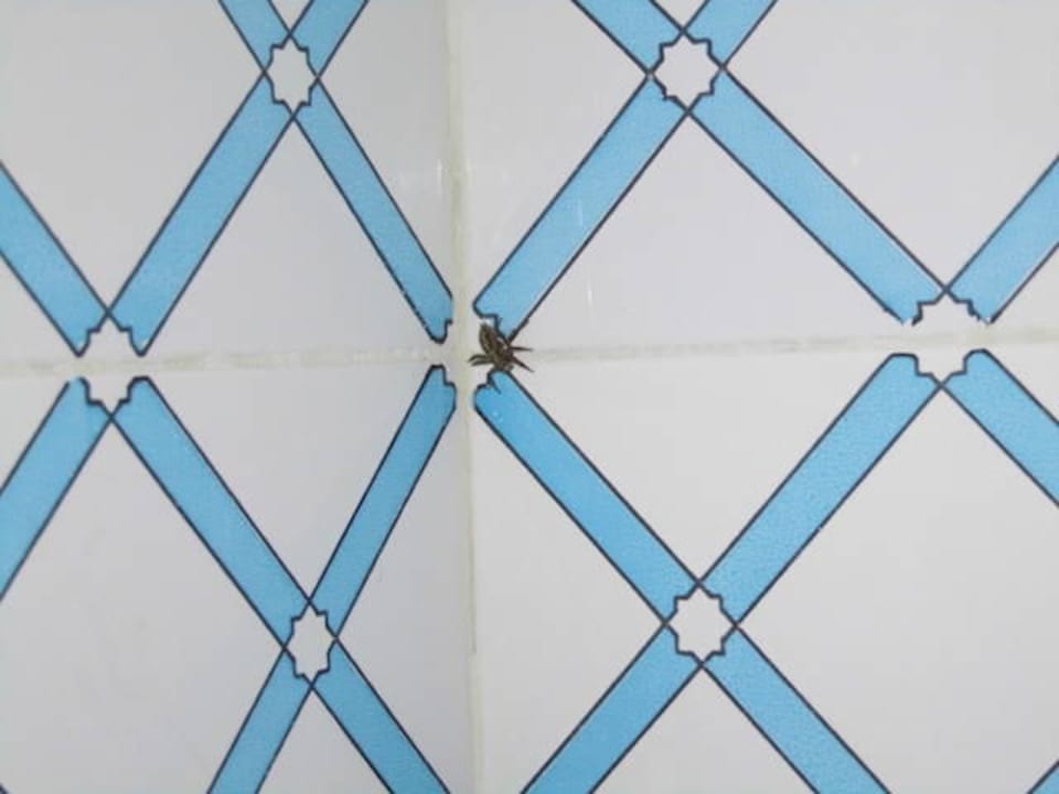 Badezimmer Djerba Sun Beach Hotel & Spa