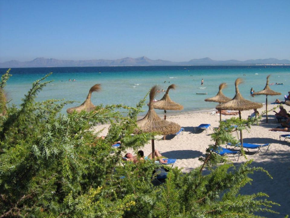 Strand Grupotel Los Principes & Spa