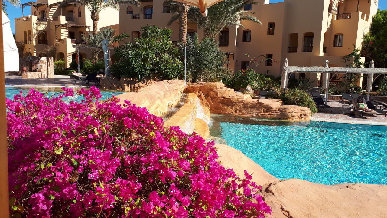 Pool Steigenberger Coraya Beach - Adults only