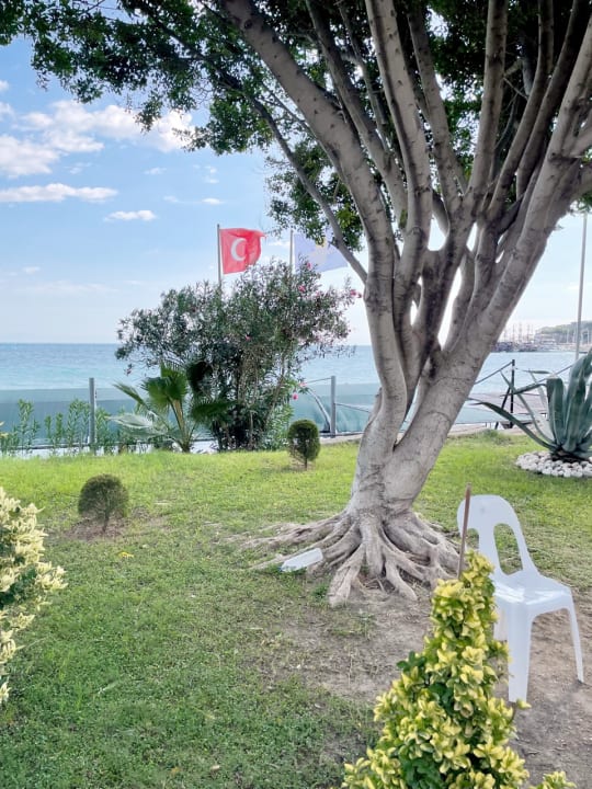 Strand Hotel Grand Viking