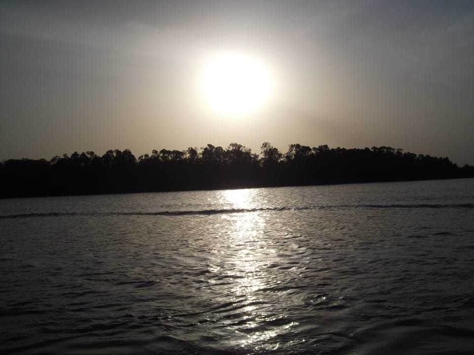 Auf dem Fluß Hotel Les Palétuviers