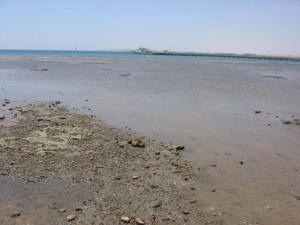 Meer bei Ebbe Pickalbatros Palace Resort