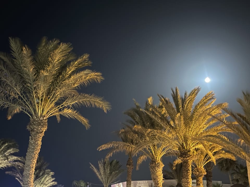 Sonstiges ROBINSON DJERBA BAHIYA