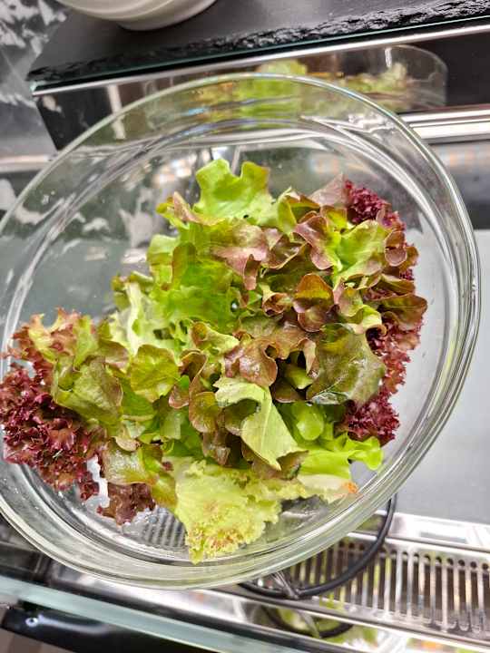 Gastro Pipa Hotel Bangkok Sukhumvit 11