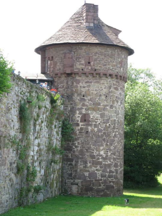 Eckturm mit Hund Burghotel Trendelburg