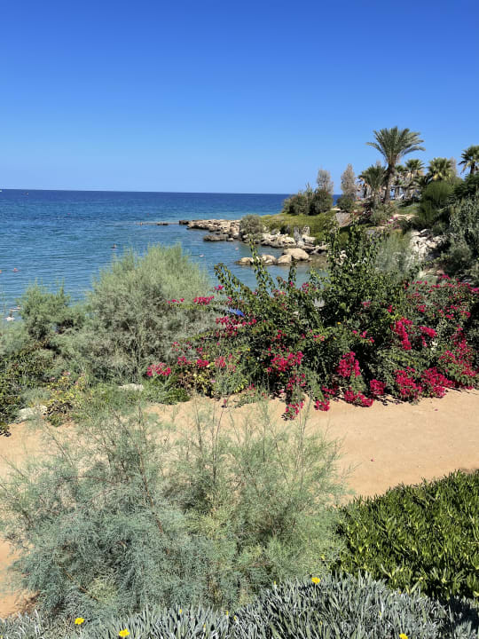 Ausblick Crystal Springs Beach Hotel