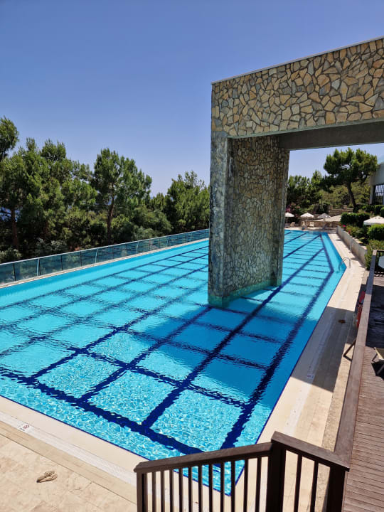 Pool TUI BLUE Seno - Adults Only