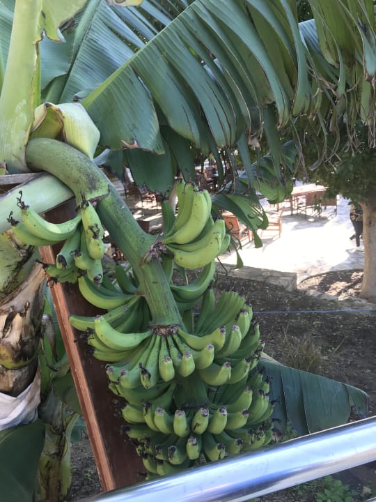 Ausblick Melas Resort Hotel