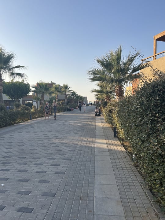 Gartenanlage Astir Odysseus Kos Resort & Spa